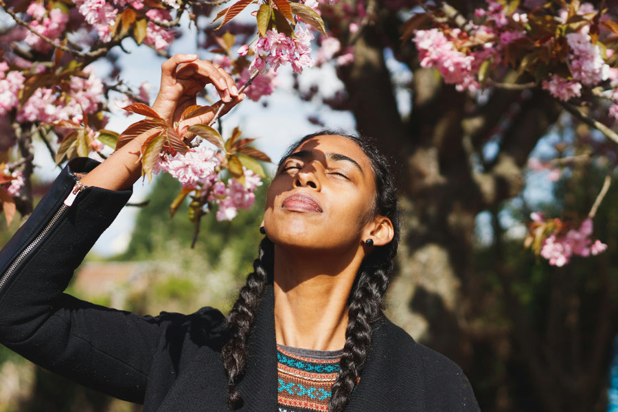 Lavender Oil vs Rosemary Oil for Hair Growth